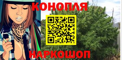 стафф Малгобек